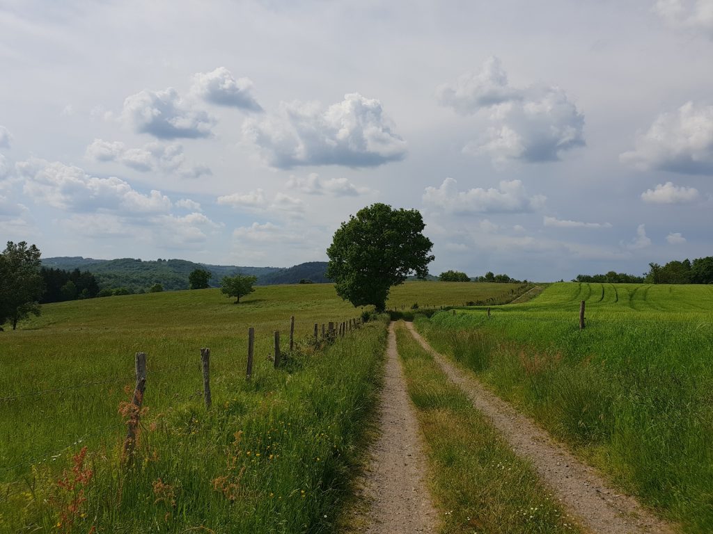 Blotti dans les collines aveyronnaises, Belpech est un hameau sans trace sur les cartes, où les murs de pierre et le calme absolu invitent à une immersion hors des sentiers battus. Ici, on ne visite pas – on s’abandonne à la lenteur.