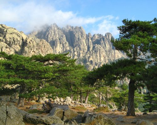 aiguilles de Bavella (Corse-du-Sud, Corse,France )