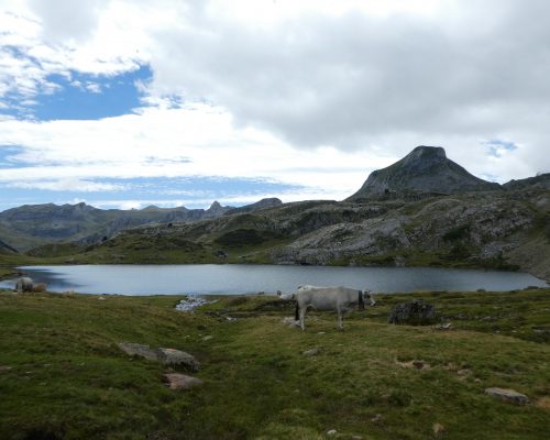 lac d'Ayous (Pyrénées-Atlantiques, Nouvelle-Aquitaine,France )