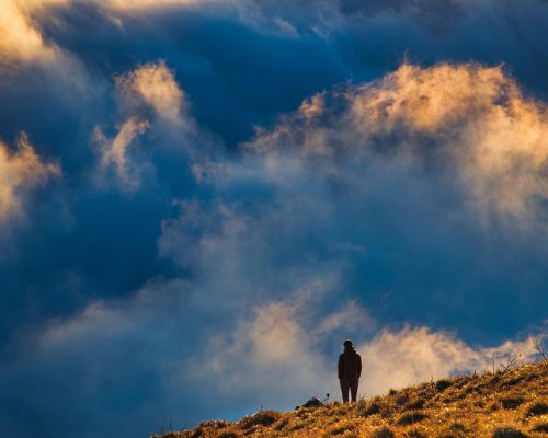 landscape-3911734_1920