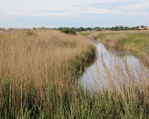 marais-poitevin-4260578_1920