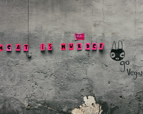 murs creatifs street art