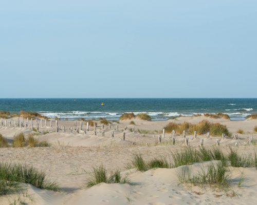 Plage de l'Espiguette (Gard, Occitanie,France )